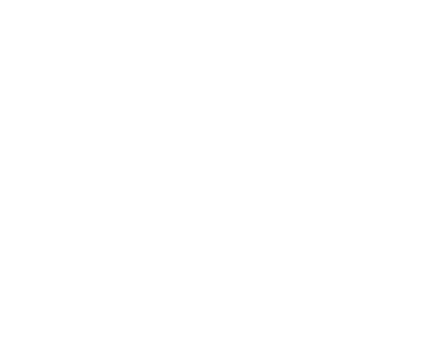 株式会社 SERT